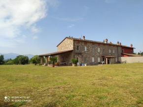 Ringo, the true Tuscany Country House